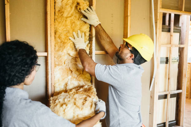 Best Insulation Replacement Services  in Elizabethtown, PA